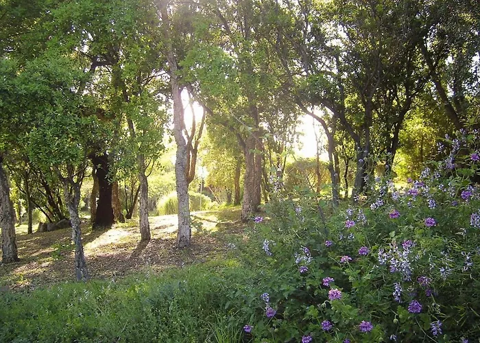 Near Pinarellu Bay Zonza