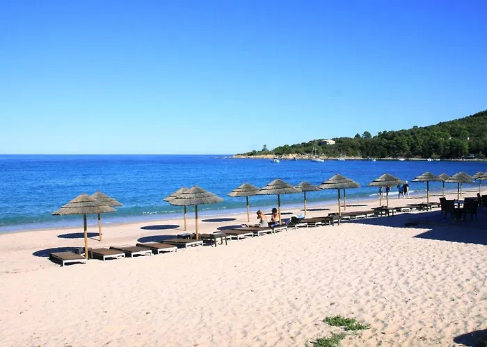 Apartamento Near Pinarellu Bay *